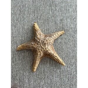 Starfish‎ decoration 10"x10"